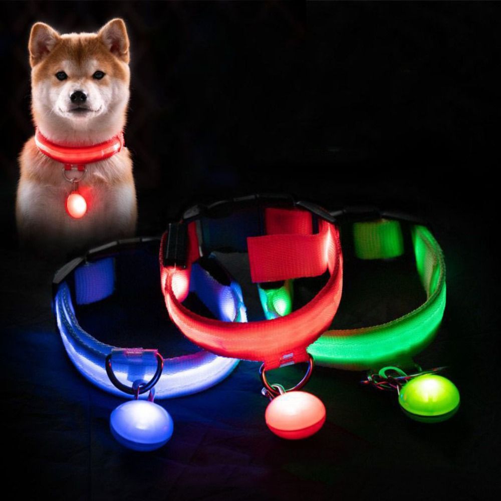 Usb Charging Glowing Dog Colla - Pet Supplies Wholesale review and price