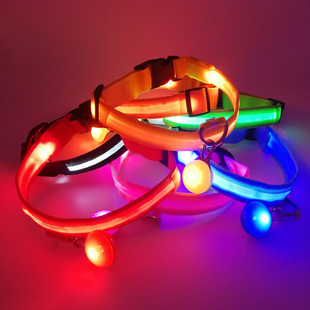 Usb Charging Glowing Dog Colla - Pet Supplies Wholesale review and price