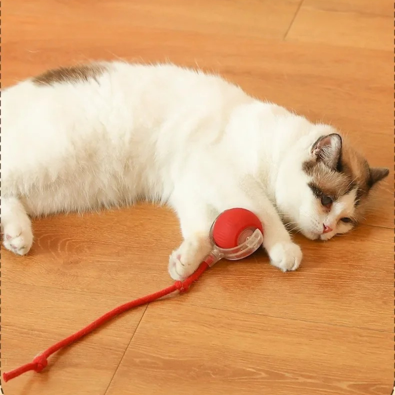 HOT Smart Cat Toys Automatic R - Pet Supplies First review and price