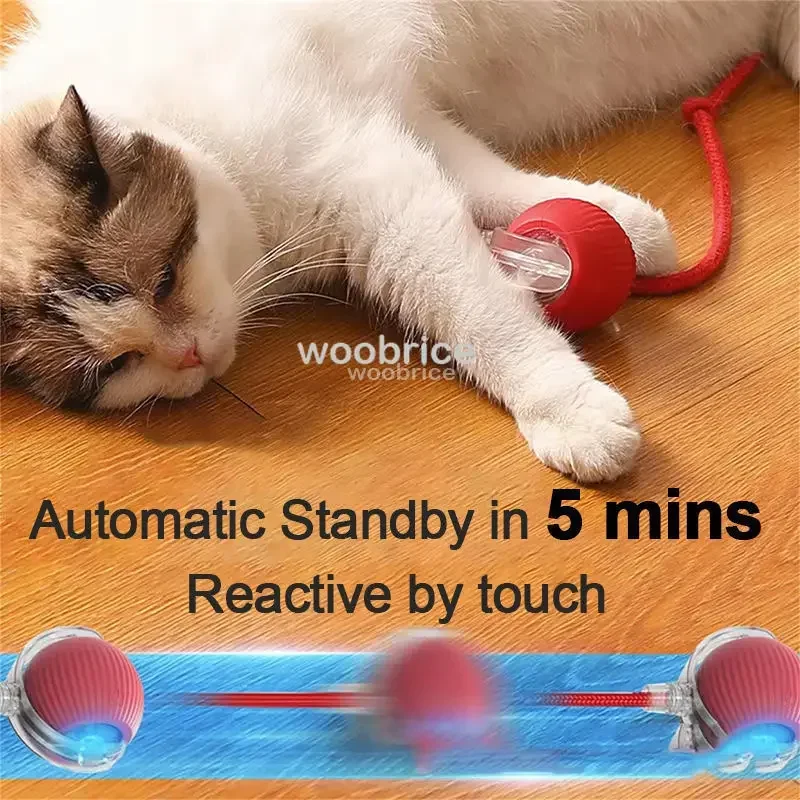 HOT Smart Cat Toys Automatic R - Pet Supplies First review and price