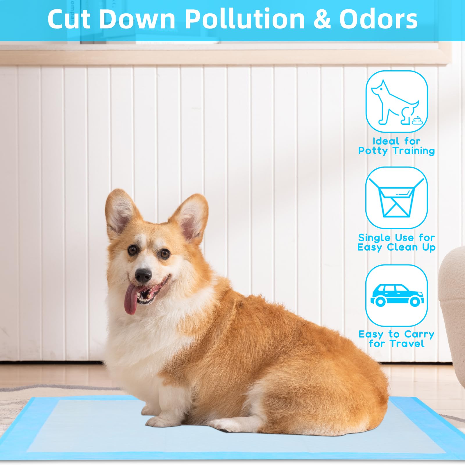 LeakProof Pee Pads for Dogs Qu - Pet Supplies Wholesale review and price