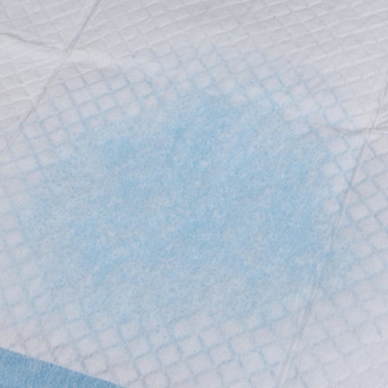 Wholesale Disposable Training  - Pet Supplies Wholesale review and price