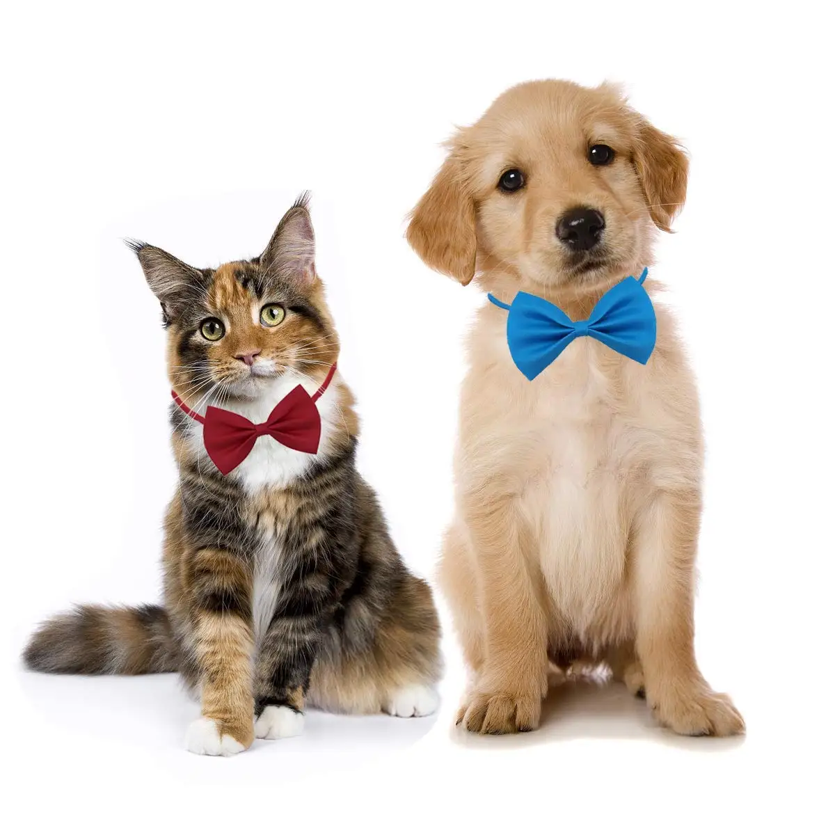 50/100pcs Dog Bows Mix Colors  - Pet Supplies Wholesale review and price