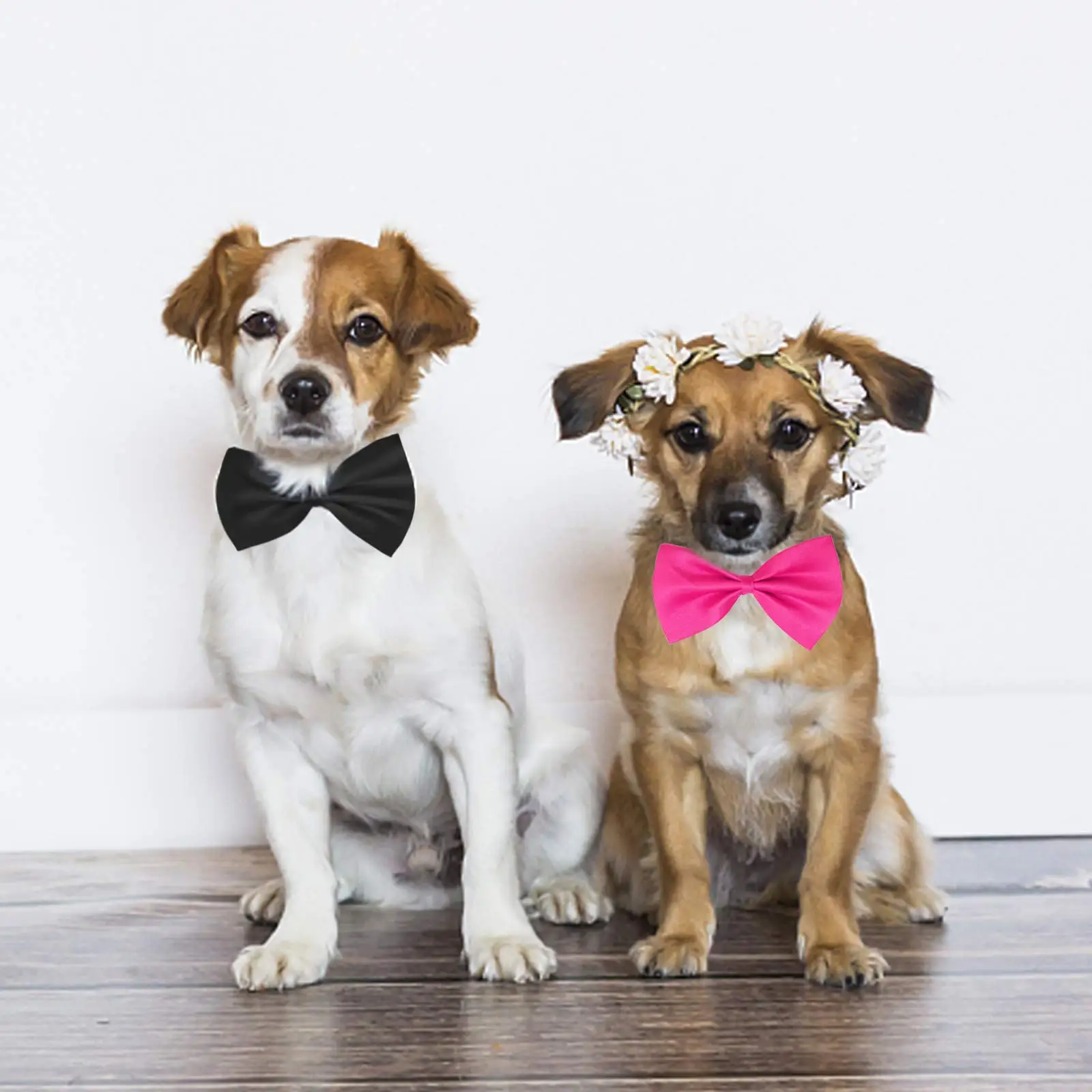 50/100pcs Dog Bows Mix Colors  - Pet Supplies Wholesale review and price