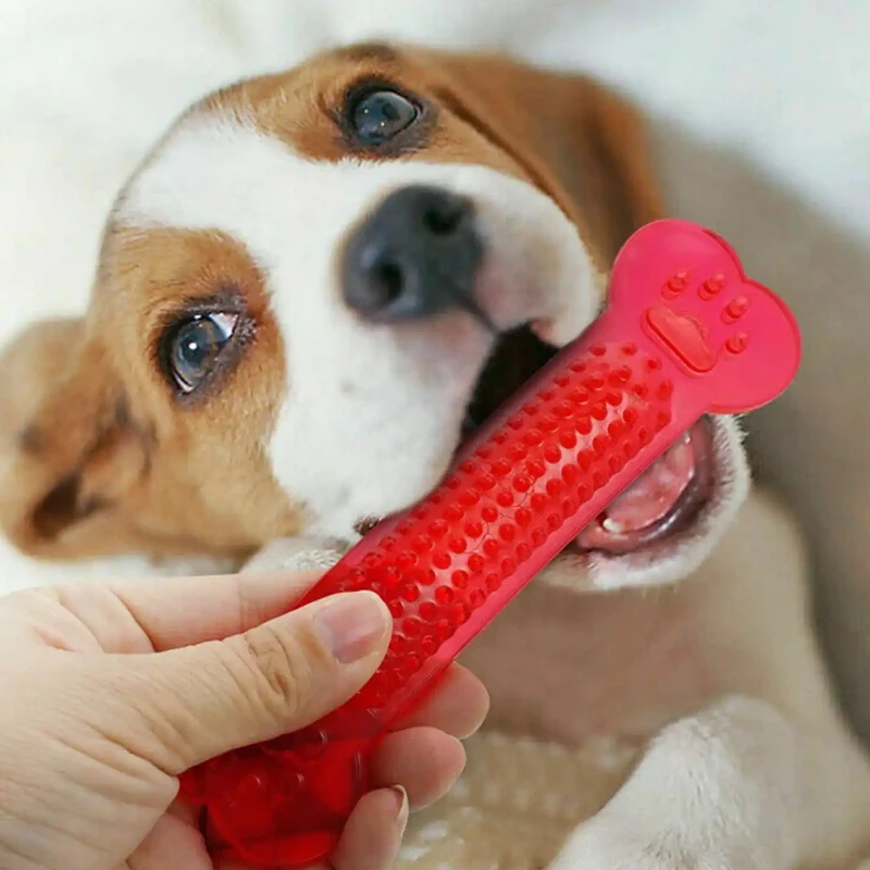 Super Tough Dog Bone Chew Toy  - Training Clicker Dog review and price