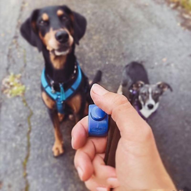 New Ring Clicker Pet Mini Fing - Training Clicker Dog review and price