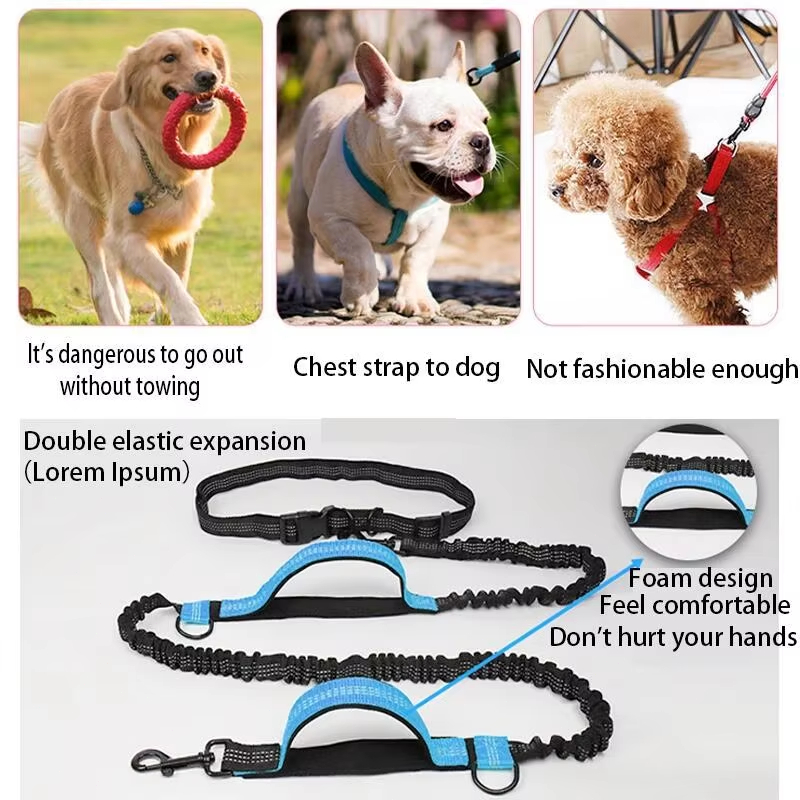Double Elastic Reflective Runn - Pet Supplies Wholesale review and price