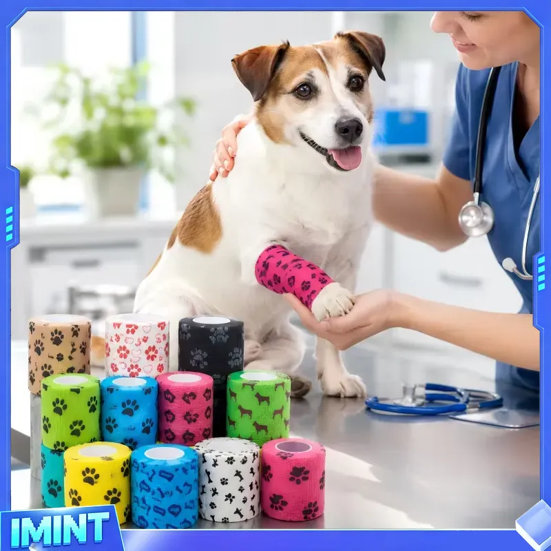 Custom Paw Print Self Adhesive - Pet Supplies First review and price
