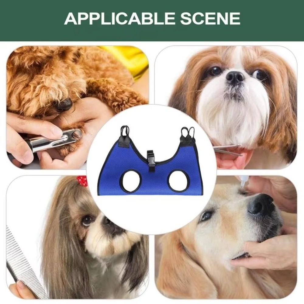 Large Pet Grooming Hammock Ant - Dog Grooming Clippers review and price