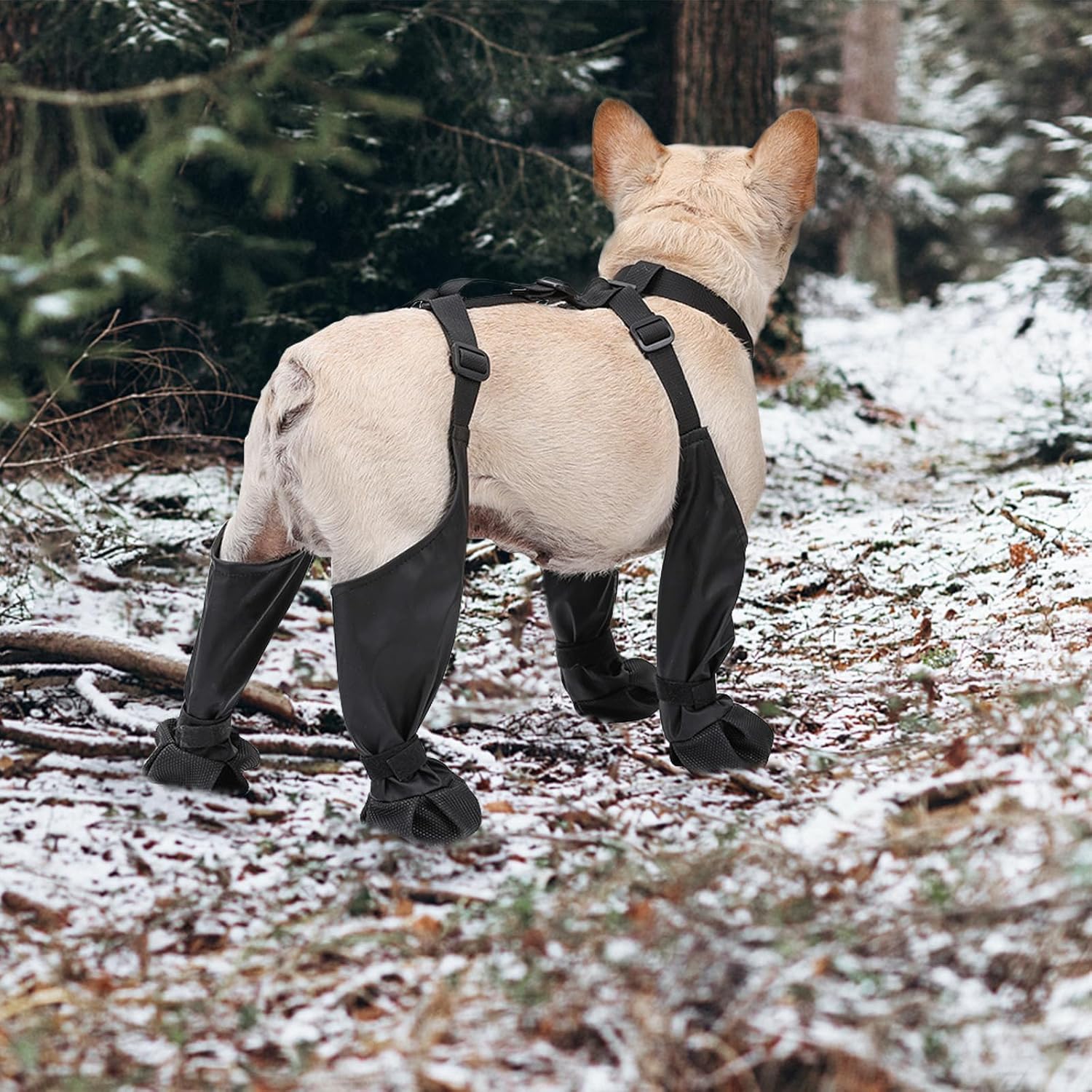 Dog Suspender Boots Waterproof - Dog Booties Paw Protector review and price