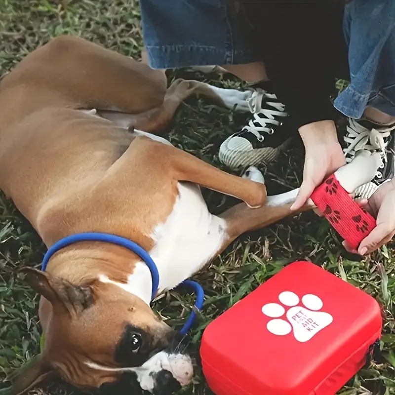 Compact pet First Aid kit for  - Pet Supplies First review and price