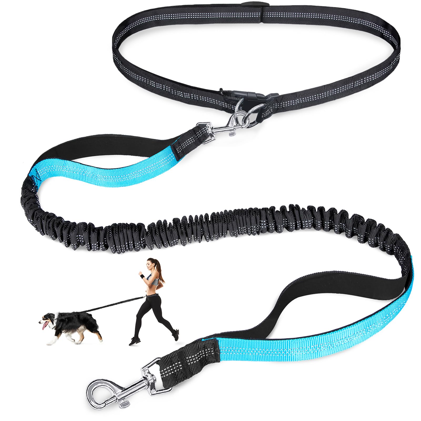 Double elastic reflective runn - Pet Supplies Wholesale review and price