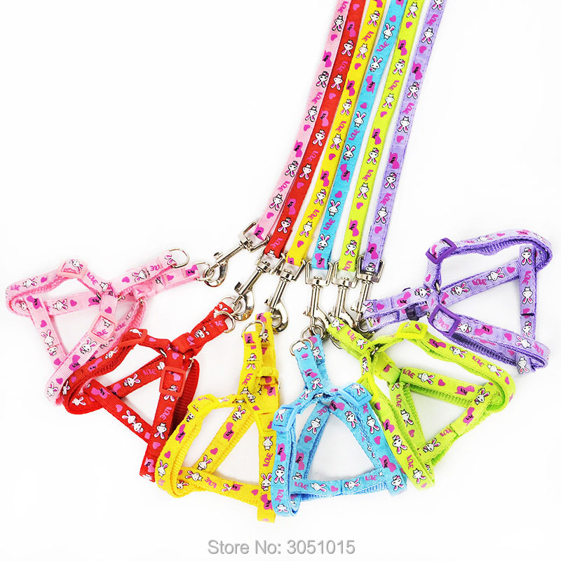 Wholesale 20 pcs Kitten Puppy  - Pet Supplies Wholesale review and price