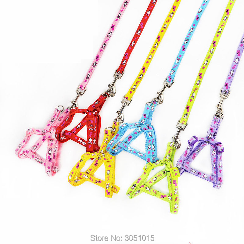 Wholesale 20 pcs Kitten Puppy  - Pet Supplies Wholesale review and price