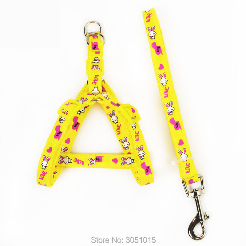 Wholesale 20 pcs Kitten Puppy  - Pet Supplies Wholesale review and price