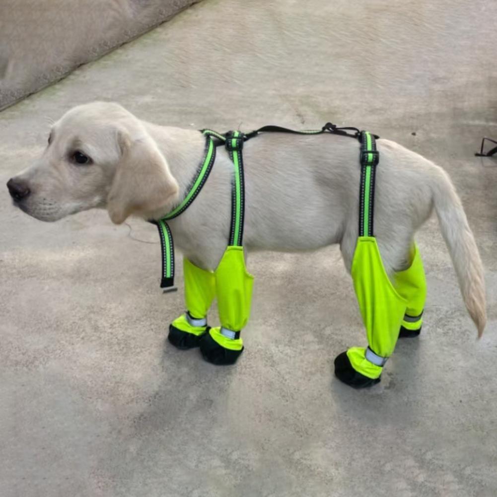 Dog Suspender Booties Anti-Sli - Dog Booties Paw Protector review and price