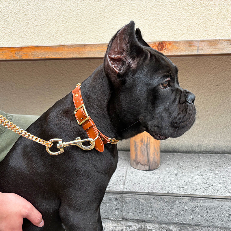Loudik Wholesale Pet Collar Le - Pet Supplies Wholesale review and price