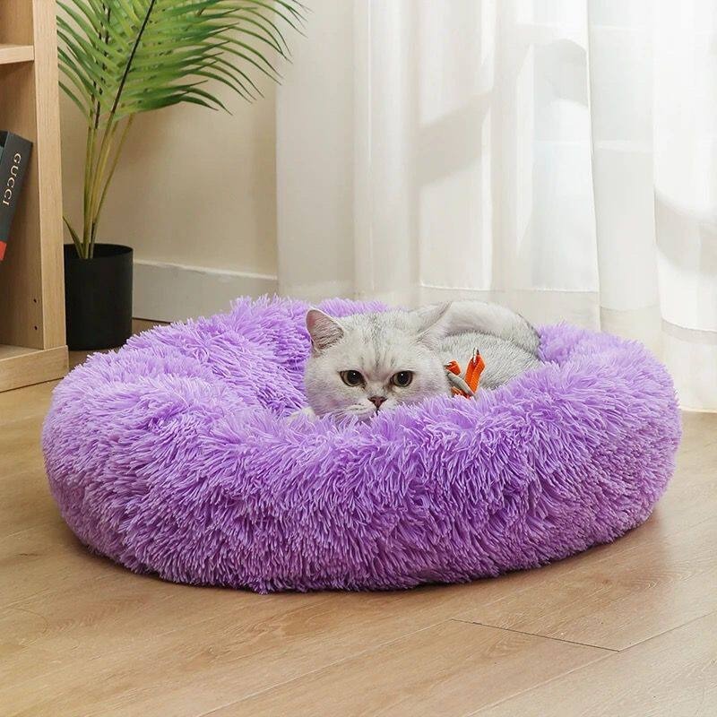 Party Cotton Dog Bed Fluffy Mo - Pet Supplies In Australia review and price