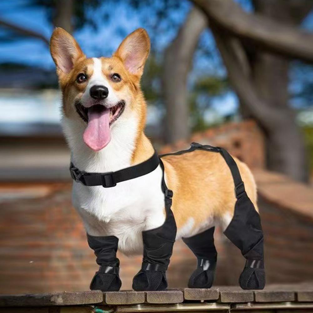 Dog Rain Boots Suspender Water - Dog Booties Paw Protector review and price